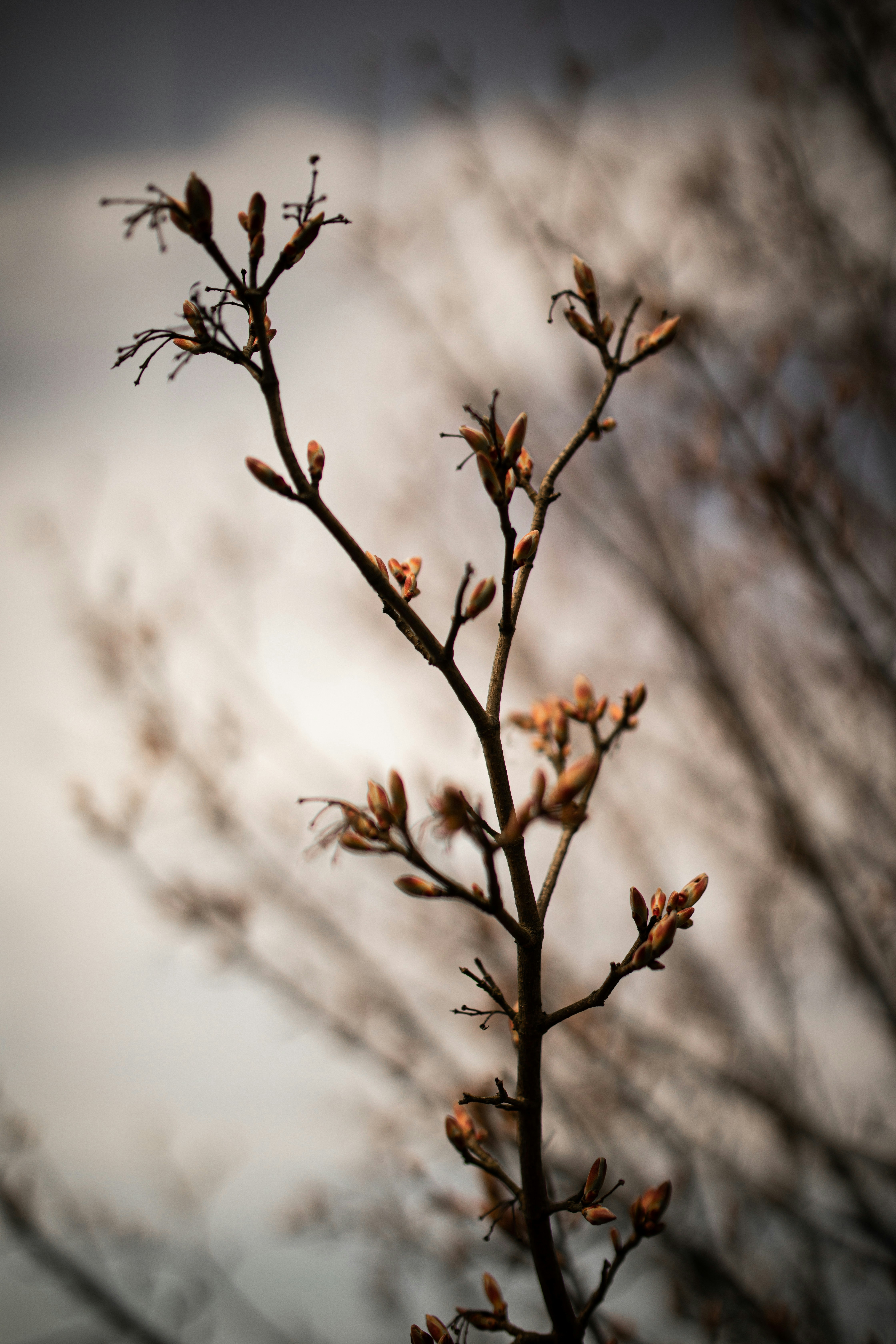 Photo by kajareichardtphotos