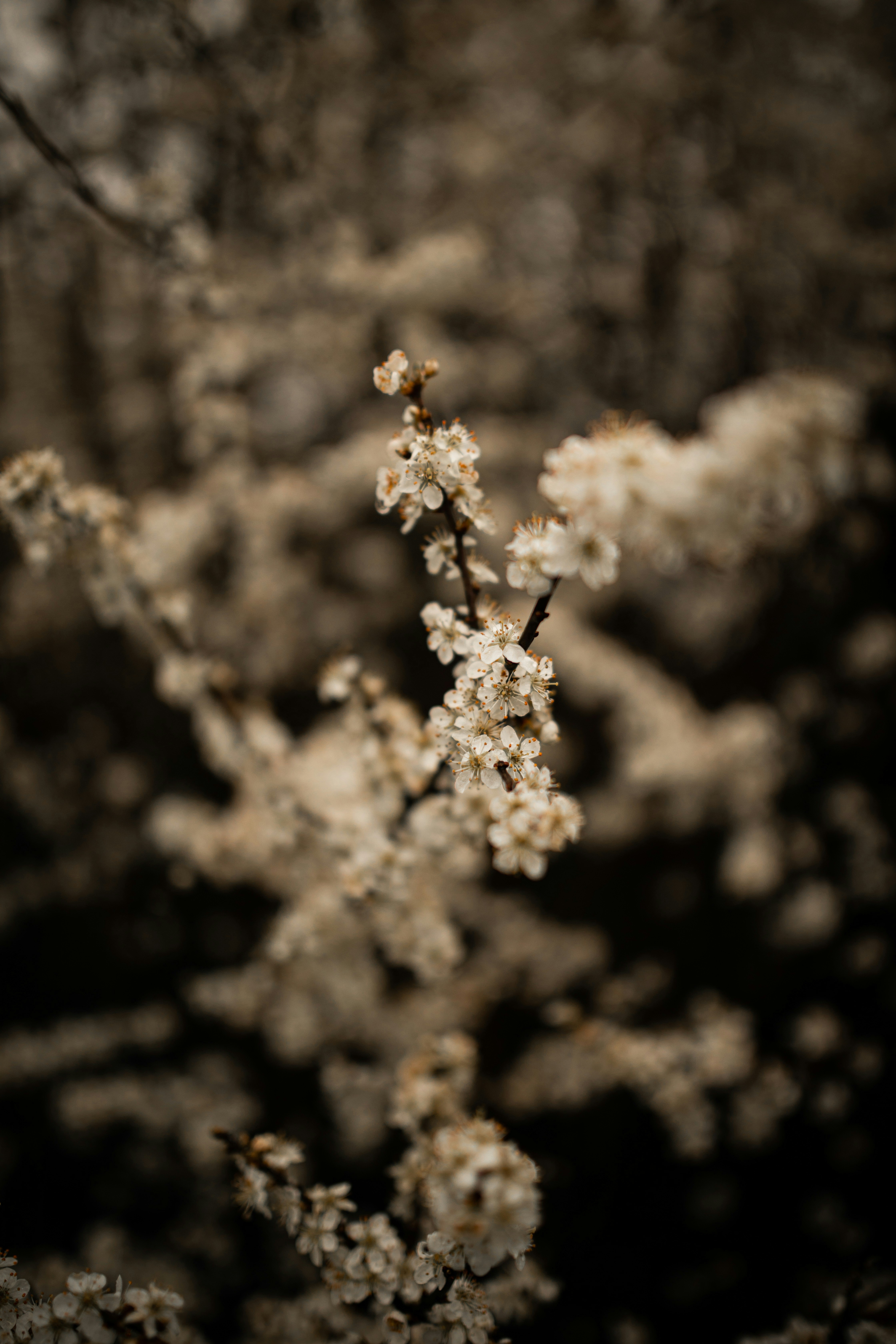 Photo by kajareichardtphotos