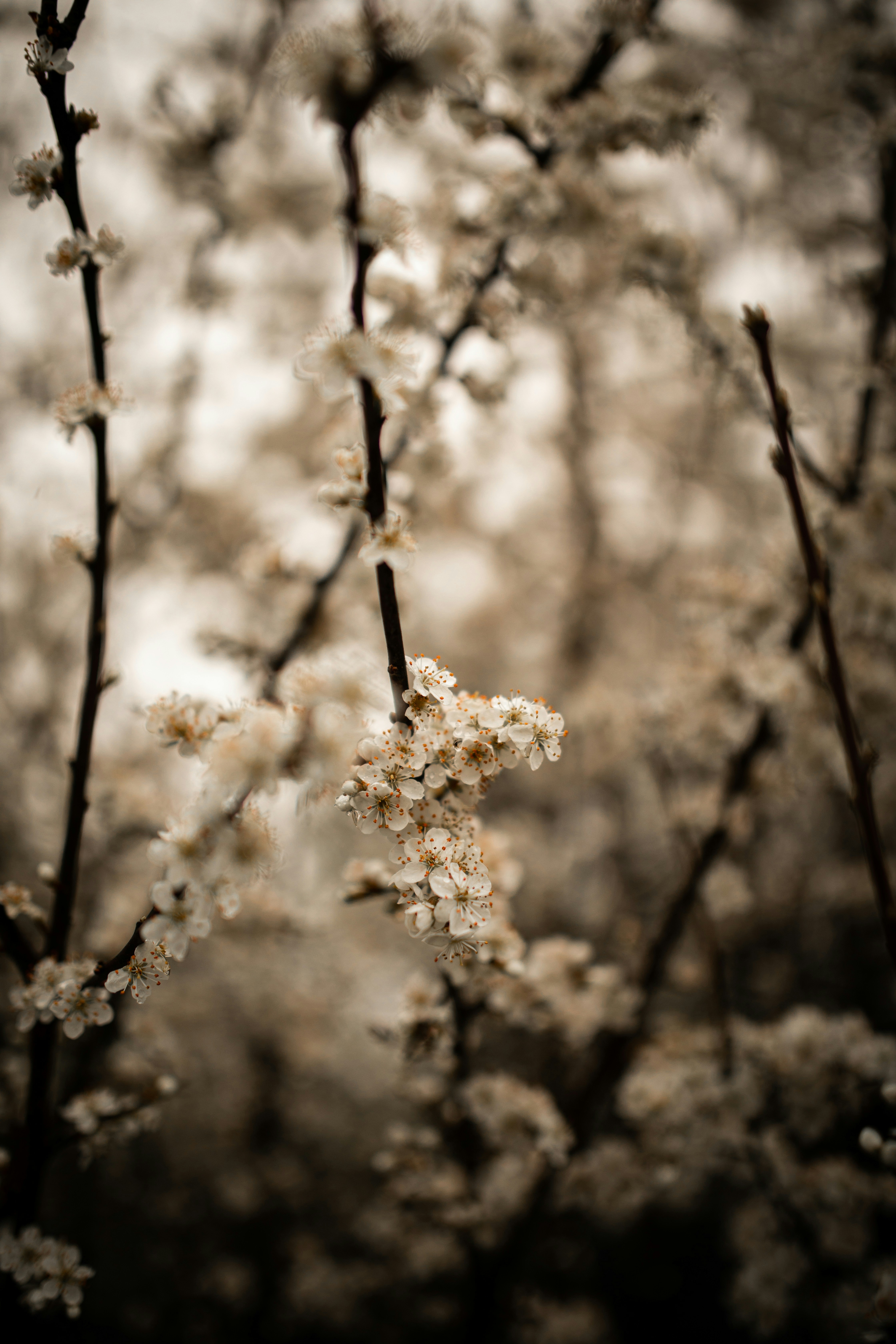 Photo by kajareichardtphotos