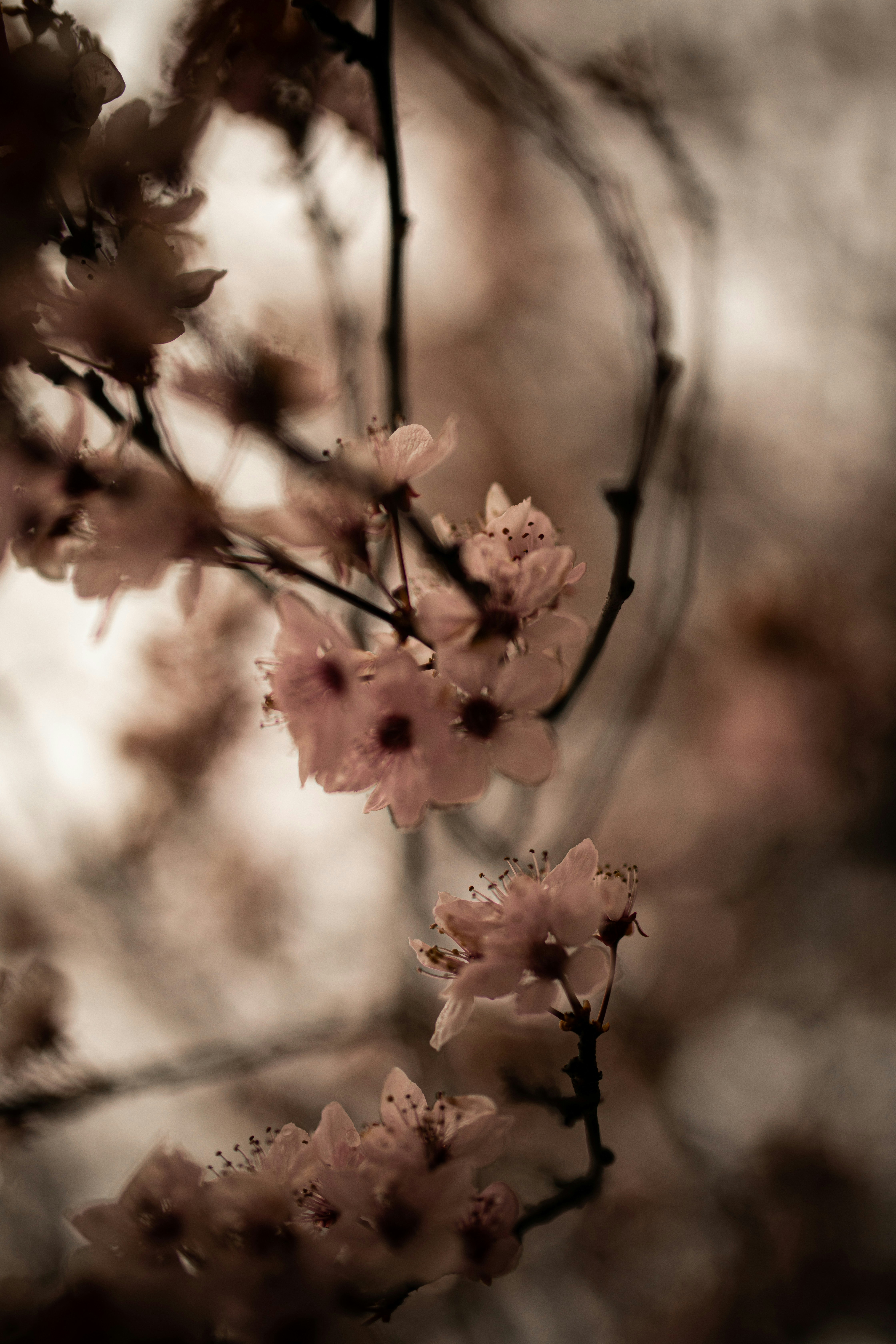 Photo by kajareichardtphotos