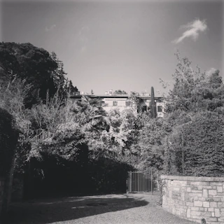 Cinematic black and white shot of the Ancora Farms project with lush greenery.