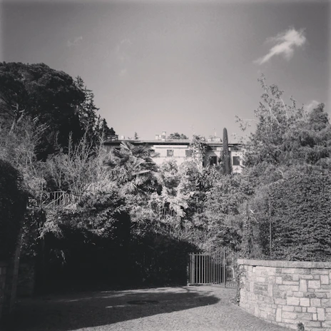 Cinematic black and white shot of the Ancora Farms project with lush greenery.