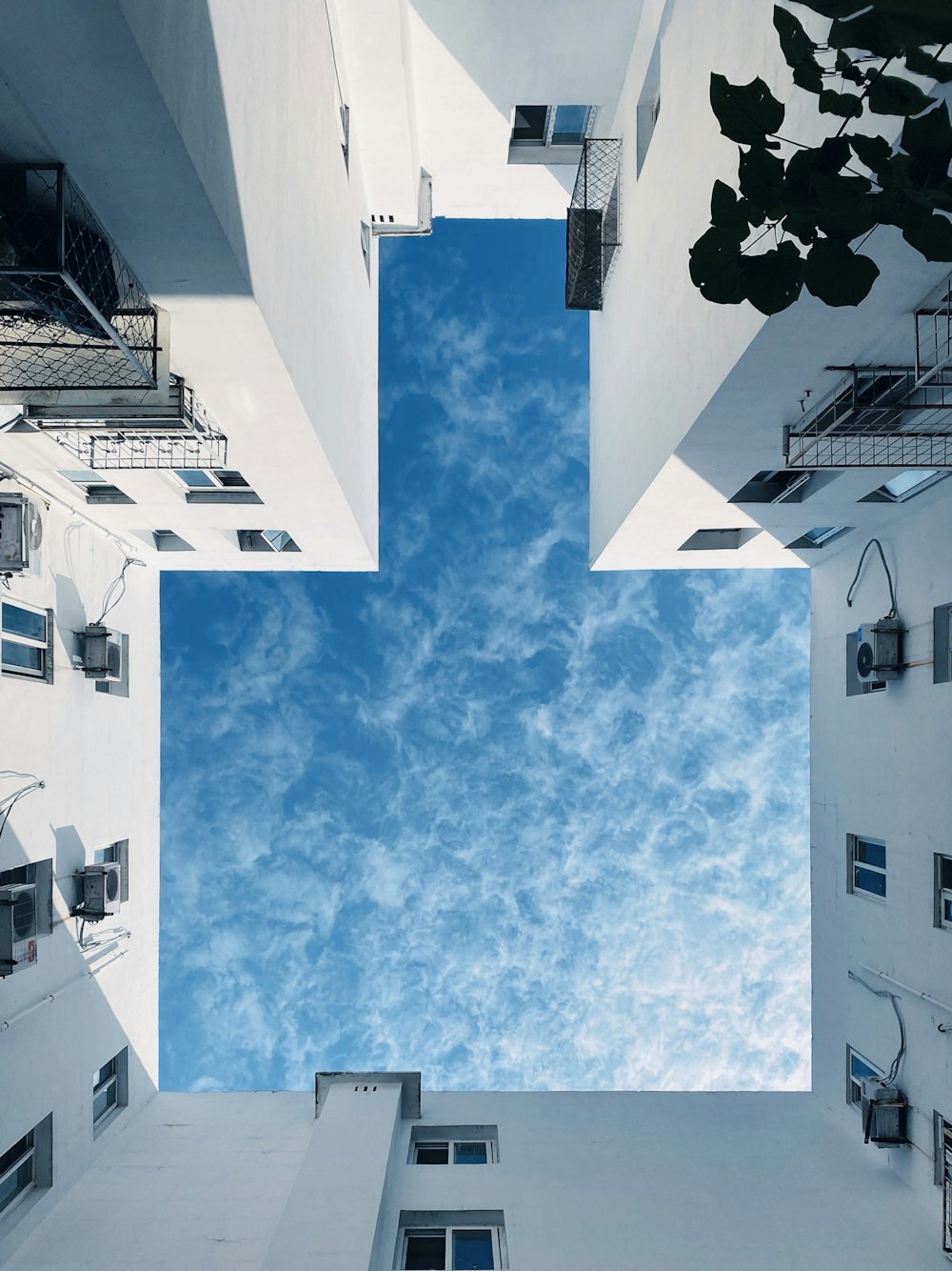 white and black airplane in mid air under blue sky during daytime