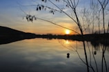 A serene nature scene showing a calm lake at sunset with reflections of trees and sky.