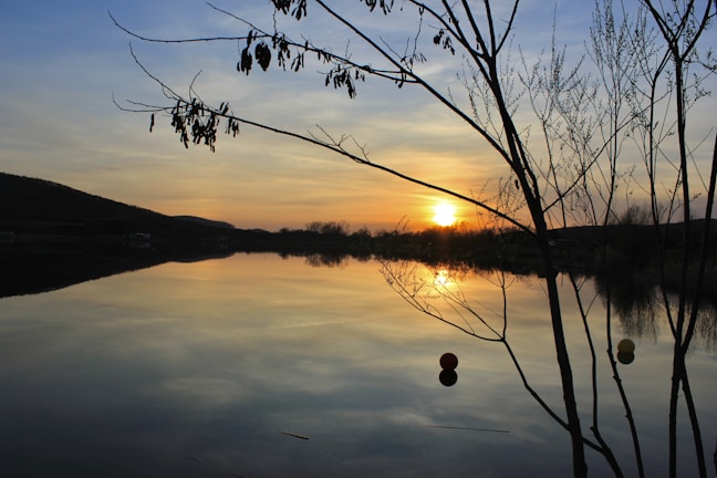 A serene nature scene showing a calm lake at sunset with reflections of trees and sky.