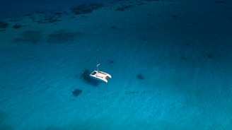 catamaran on sea during daytime