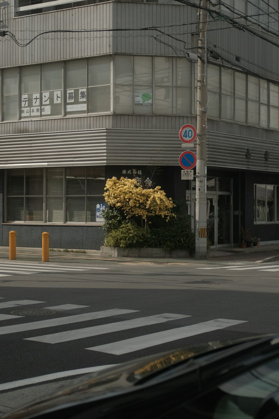 white and red stop sign on gray concrete building