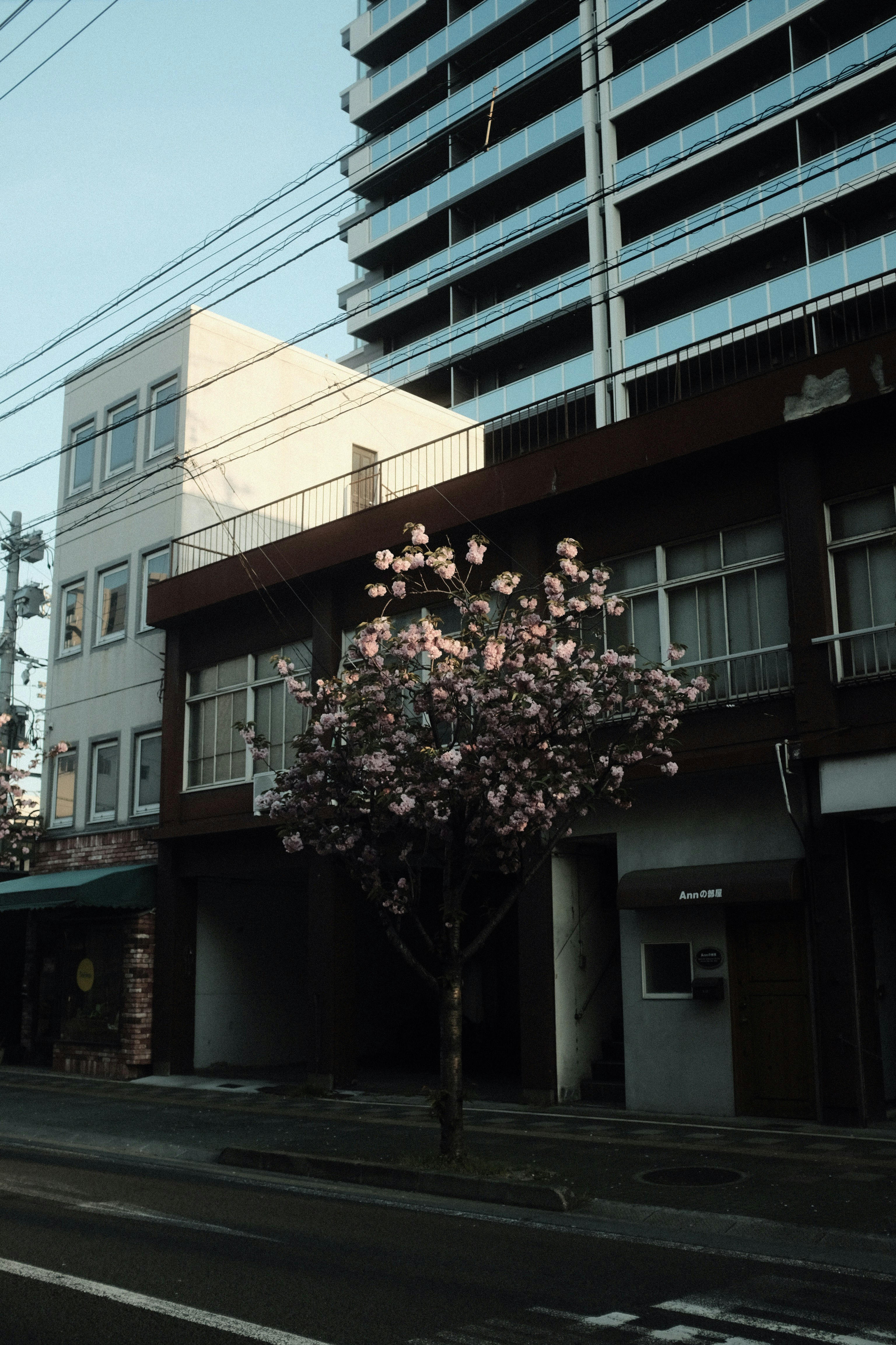Traditional wooden streets of Gion