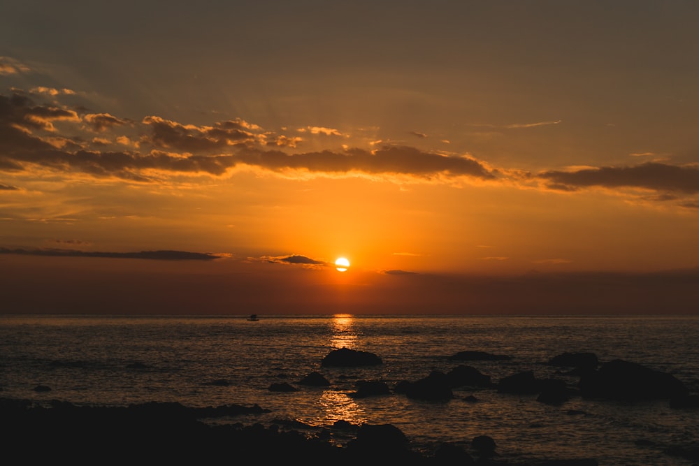 silhouette of people on beach during sunset