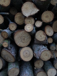 A stack of cut logs featuring visible tree rings and rough bark. The logs vary in size, and their ends display concentric growth rings, indicative of their age.