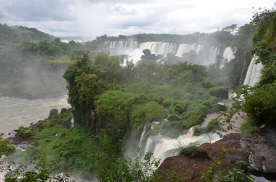A stunning view of the Iguaçu Falls surrounded by lush greenery.