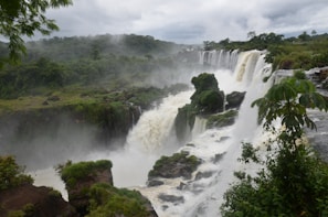 A breathtaking view of a tropical rainforest with lush greenery.