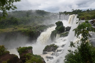 A breathtaking view of the Amazon rainforest.
