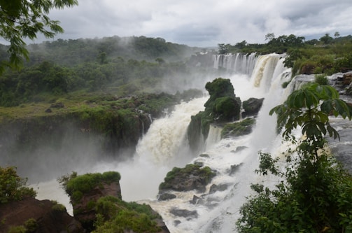 A breathtaking view of El Limón waterfall surrounded by lush green tropical forest in Samaná.