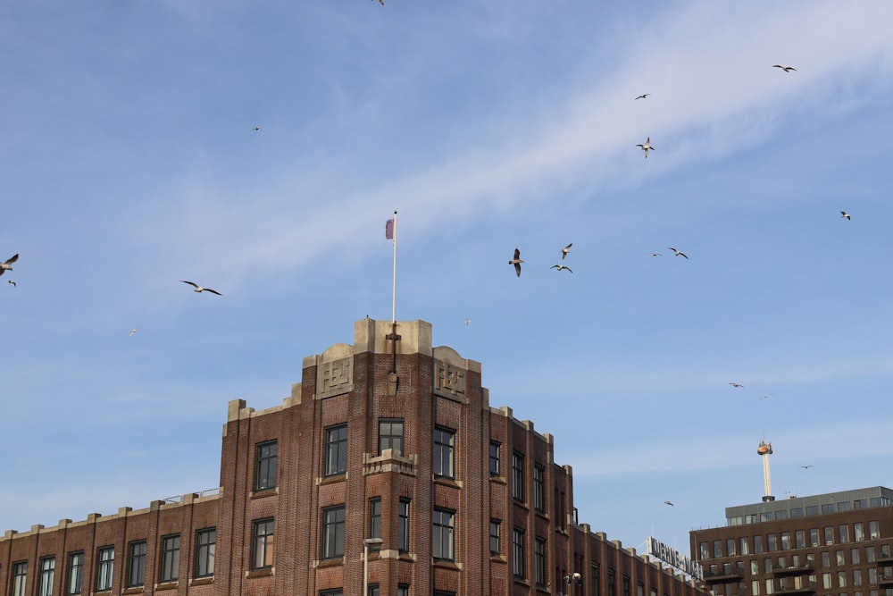 brown concrete building under blue sky during daytime