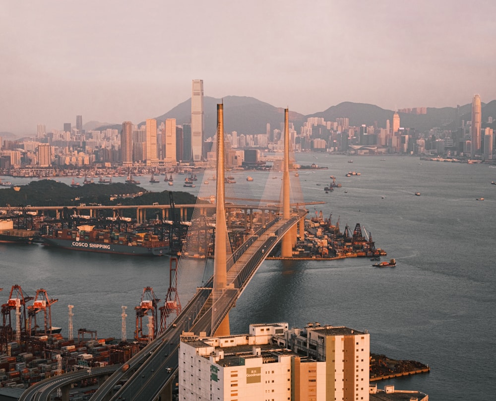 Puente marrón sobre el cuerpo de agua durante el día