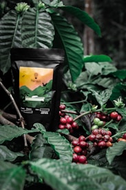 A black coffee bag with a colorful label showcasing a mountain landscape and flying birds is nestled among lush green coffee plant leaves. The scene also includes clusters of ripe red coffee cherries on branches.