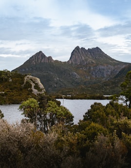 A serene landscape featuring a calm lake surrounded by trees and mountains.