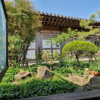 A serene garden with lush greenery and carefully pruned trees set against the backdrop of a traditional wooden building with tiled roofing. The scene is illuminated by bright sunlight, highlighting the vibrant colors of the plants and the rustic texture of the building.