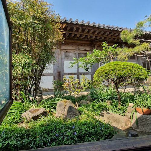 A serene garden with lush greenery and carefully pruned trees set against the backdrop of a traditional wooden building with tiled roofing. The scene is illuminated by bright sunlight, highlighting the vibrant colors of the plants and the rustic texture of the building.