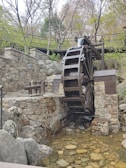Traditional water wheels of Hama turning gently beside the Orontes River