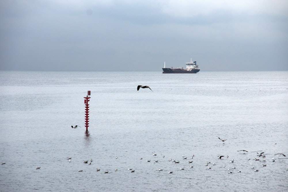 red and white post on sea during daytime