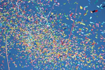 Close-up of colorful powder exploding in the air against a bright blue sky.