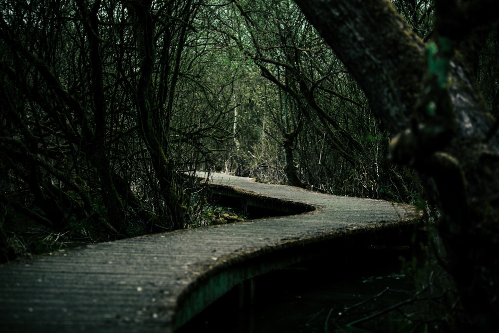 brown wooden bridge over river