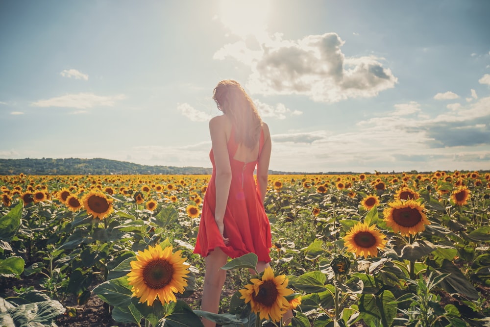 woman in pink dress standing on sunflower field during daytime