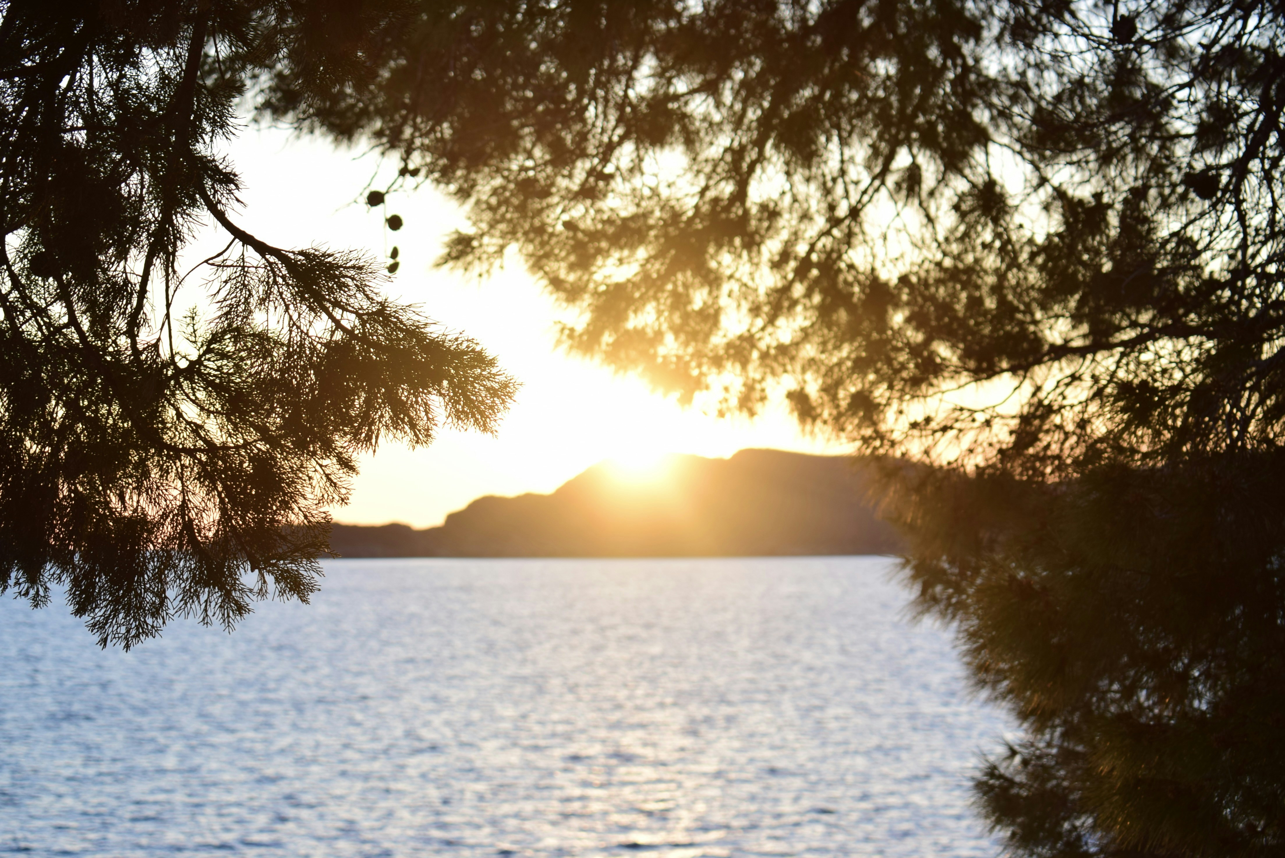 Photo by pink_colibri