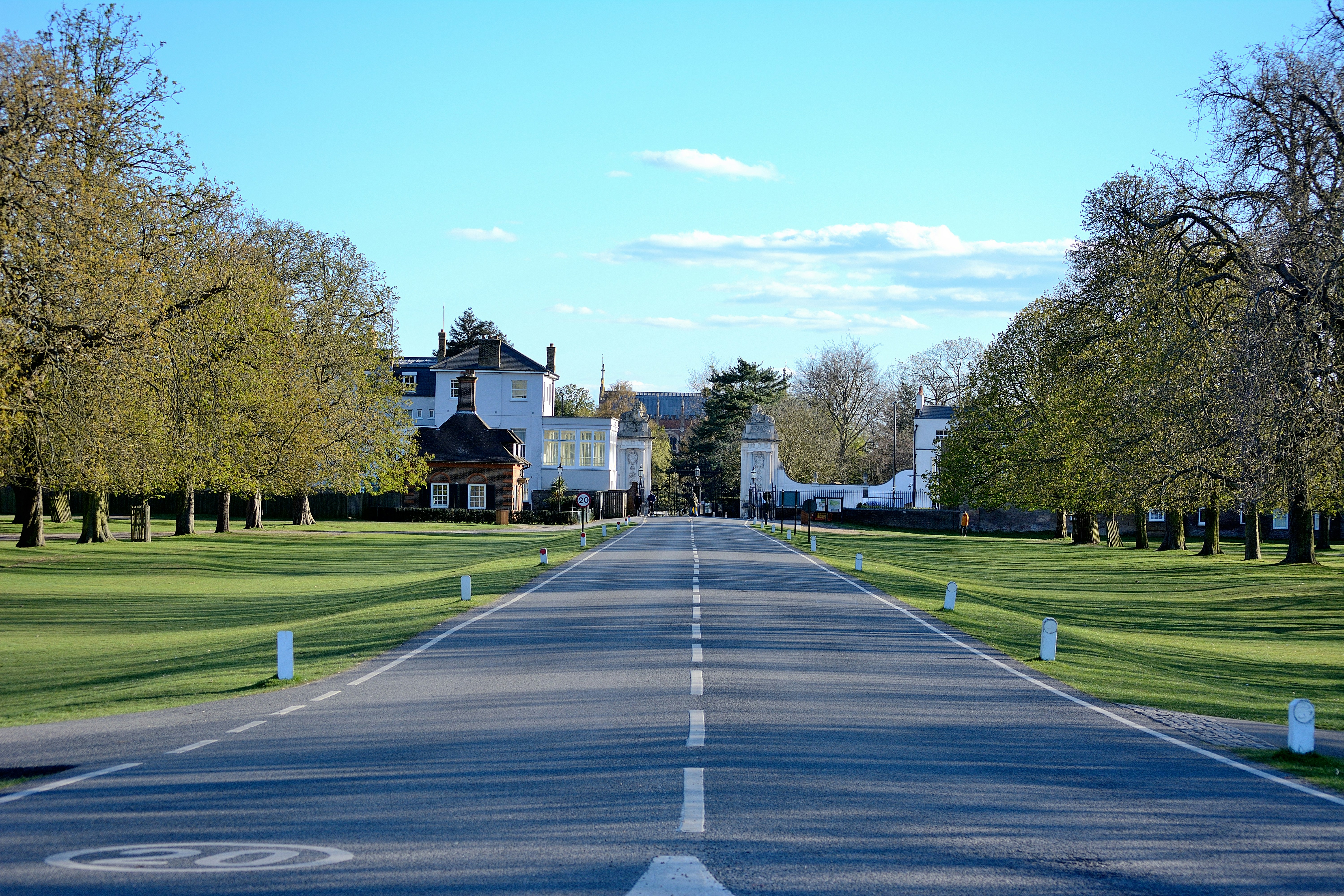 white and brown house near green grass field during daytime, A photograph of Chestnut Ave located within Bushy Park near Hampton Court, London, UK.