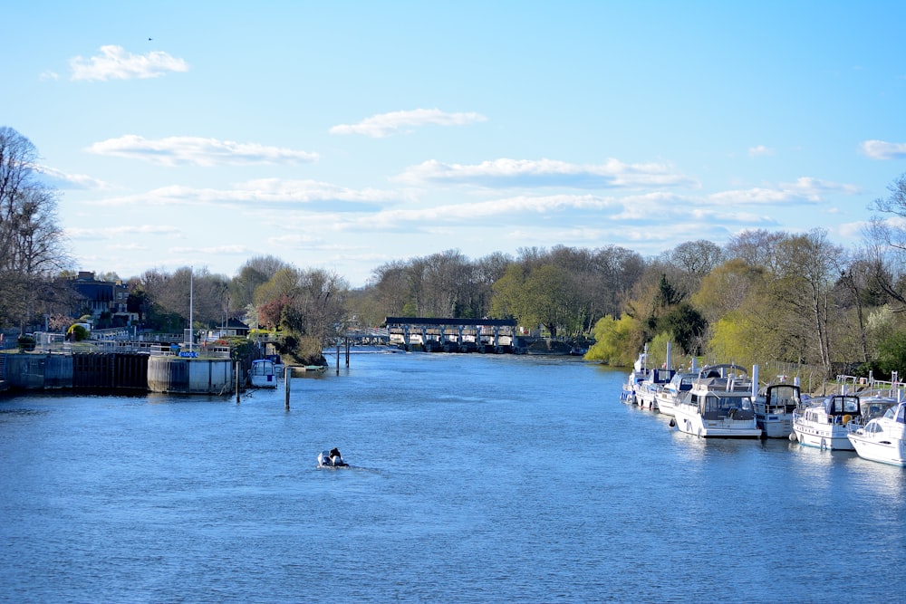 white boat on body of water during daytime