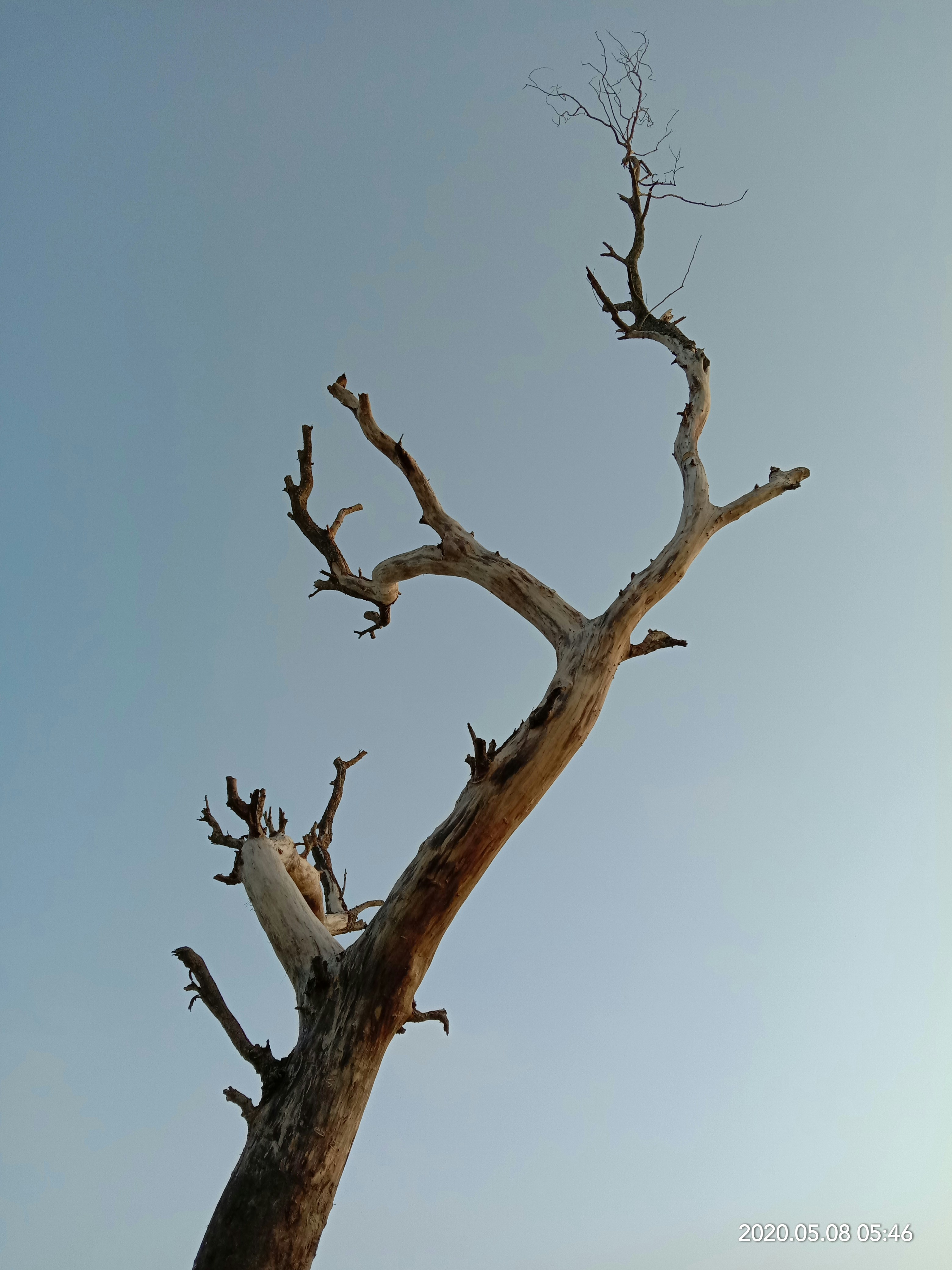 Photo by joydebh2002