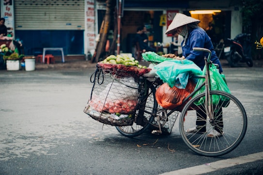 A street vendor wearing a traditional conical hat stands beside a bicycle loaded with baskets of produce, including green mangoes and vegetables. The setting appears to be a street market with a slightly overcast sky, giving the scene a serene, everyday life ambiance.