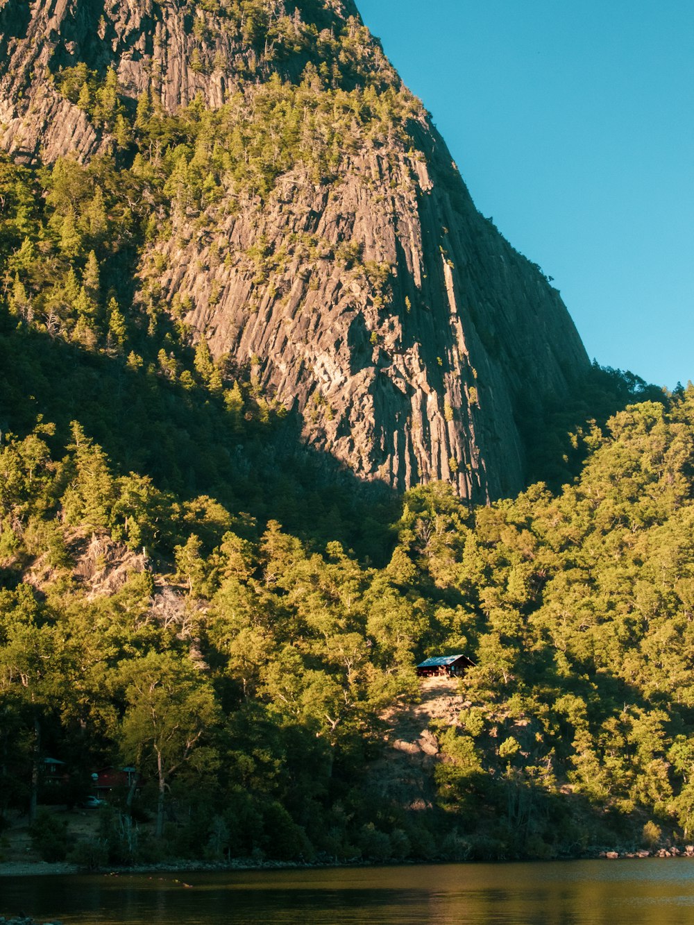 green trees on mountain under blue sky during daytime