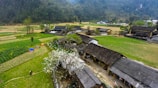 A rural landscape features a village with traditional buildings surrounded by lush green fields and mountains in the background. The scene includes a blossoming tree in front of one of the houses and a person carrying a basket walking along a dirt path.