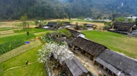 A rural landscape features a village with traditional buildings surrounded by lush green fields and mountains in the background. The scene includes a blossoming tree in front of one of the houses and a person carrying a basket walking along a dirt path.