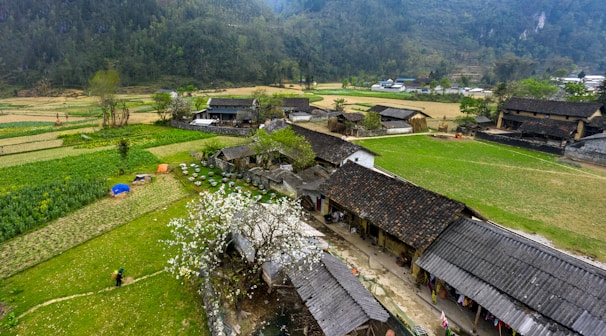 A rural landscape features a village with traditional buildings surrounded by lush green fields and mountains in the background. The scene includes a blossoming tree in front of one of the houses and a person carrying a basket walking along a dirt path.