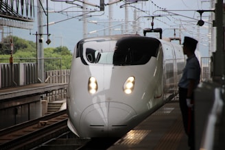 shinkansen ride, budget friendly travel