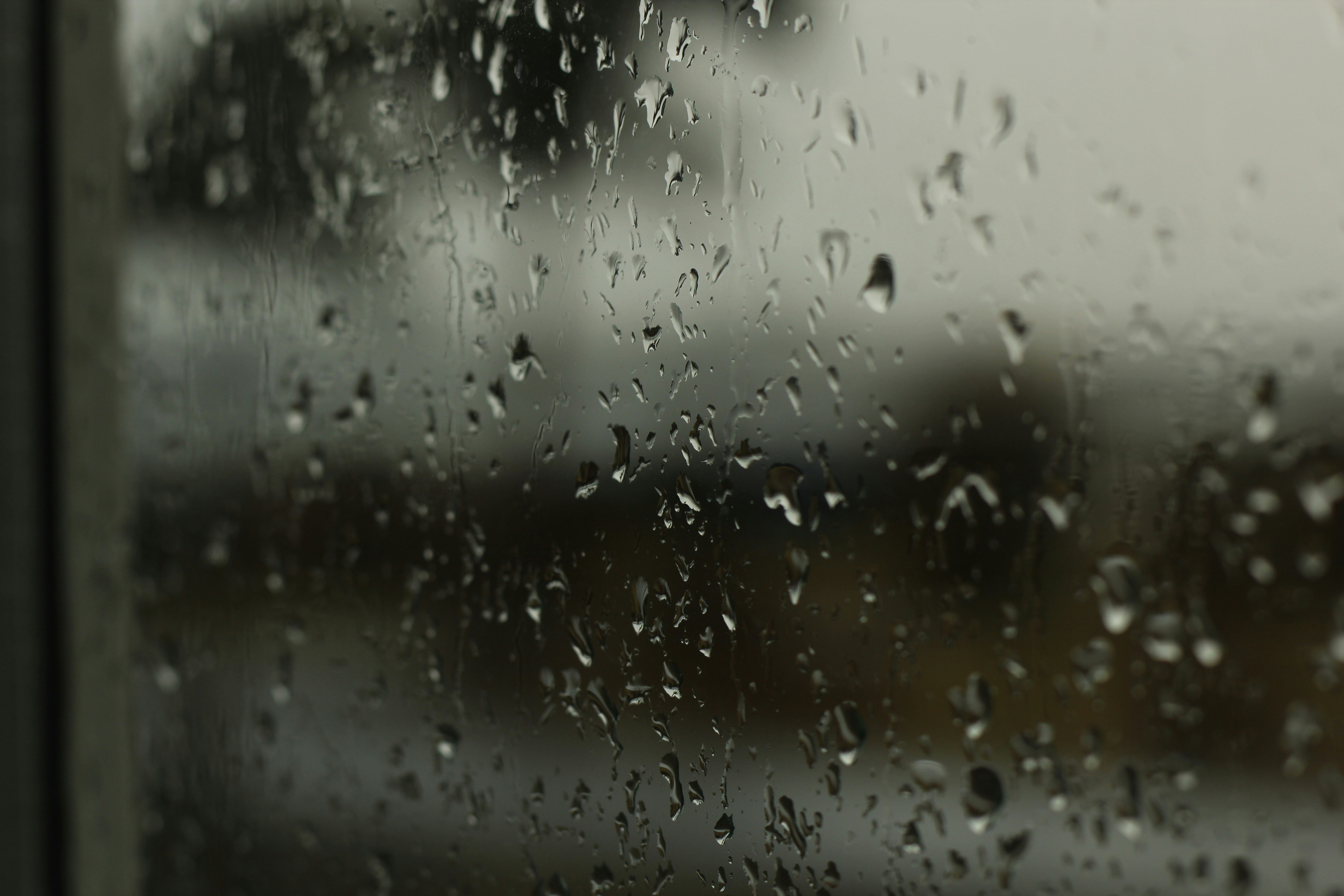 Photo by powerofthefalconer