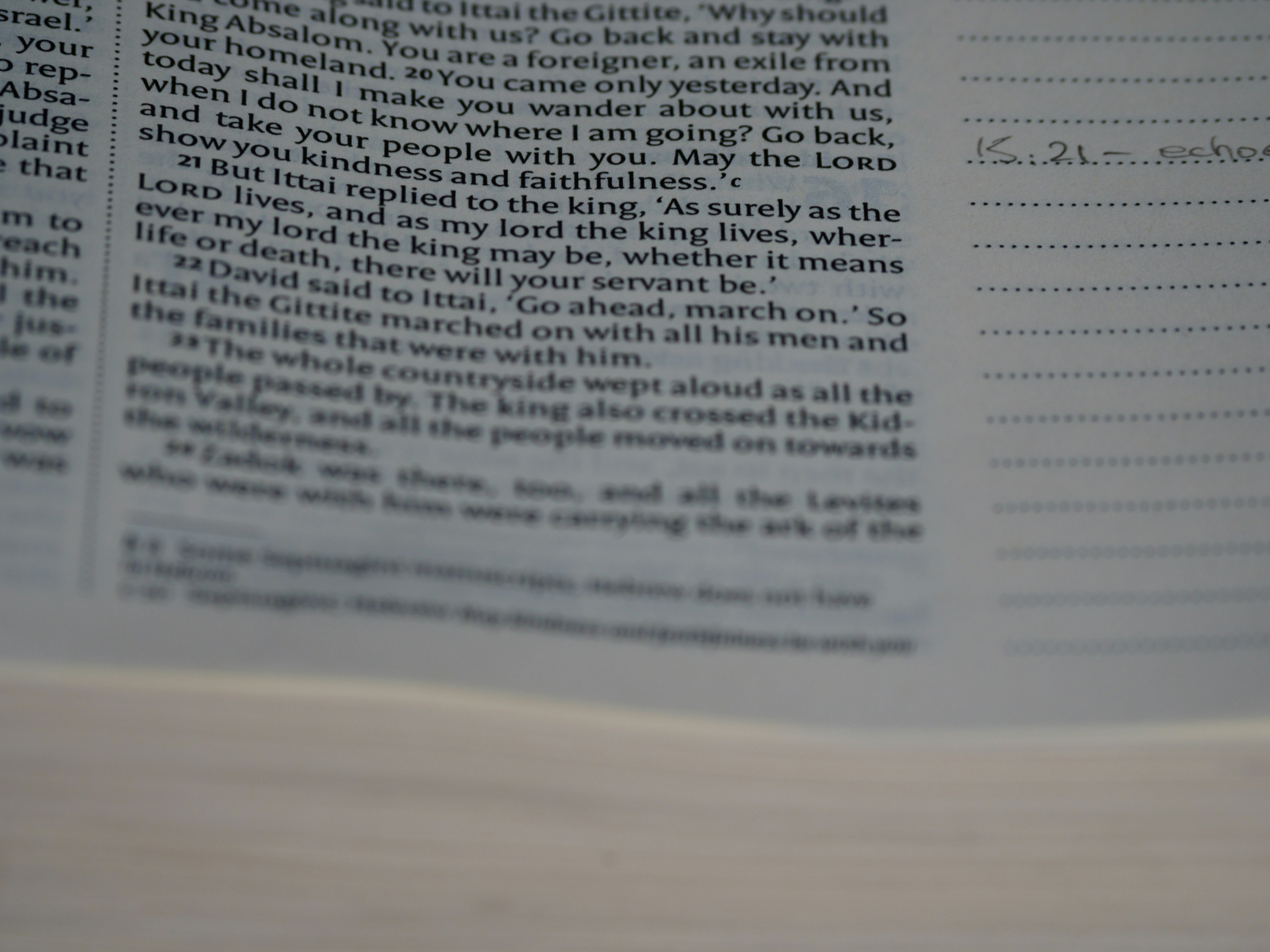 Photo by brett_jordan