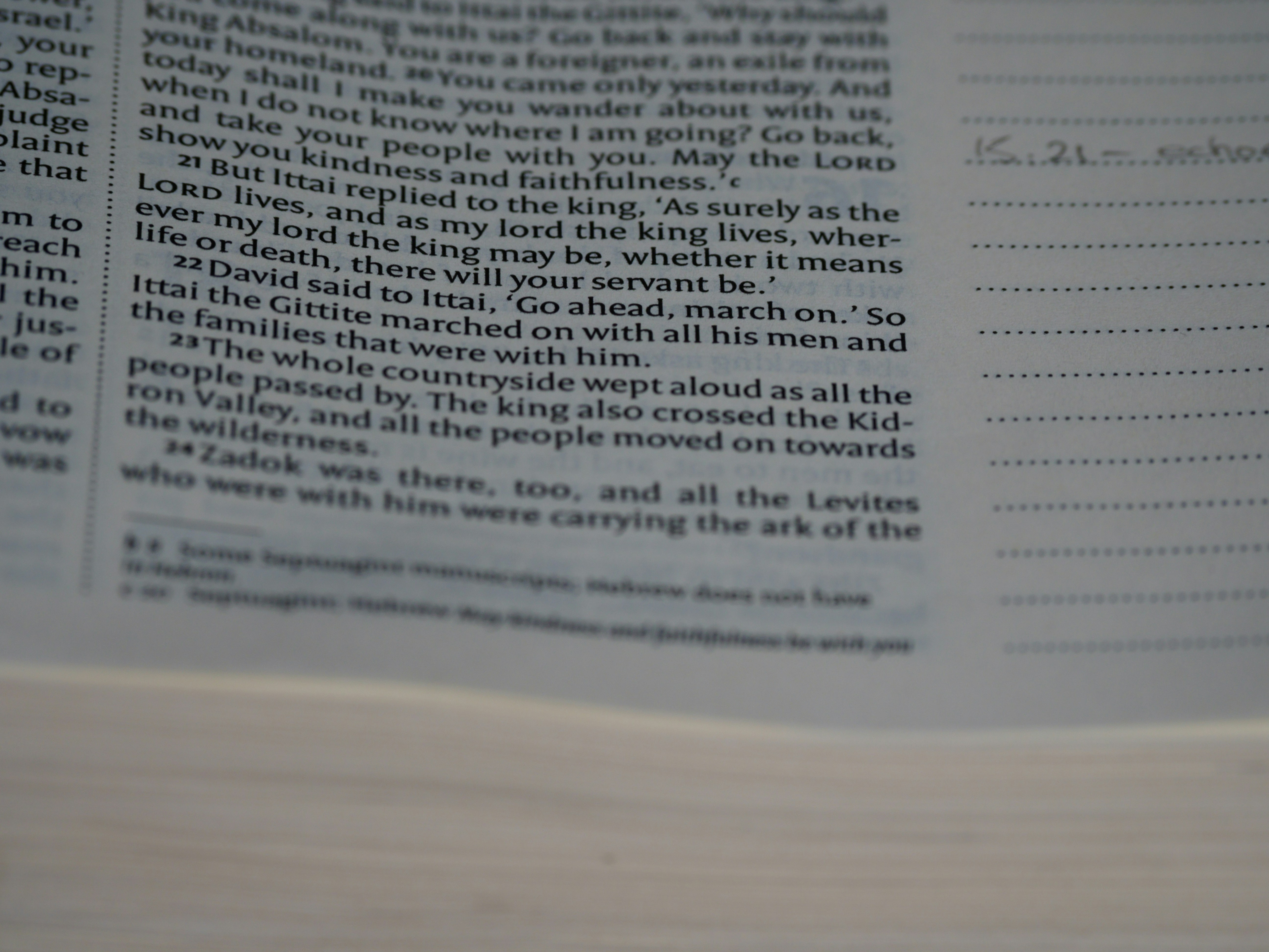 Photo by brett_jordan