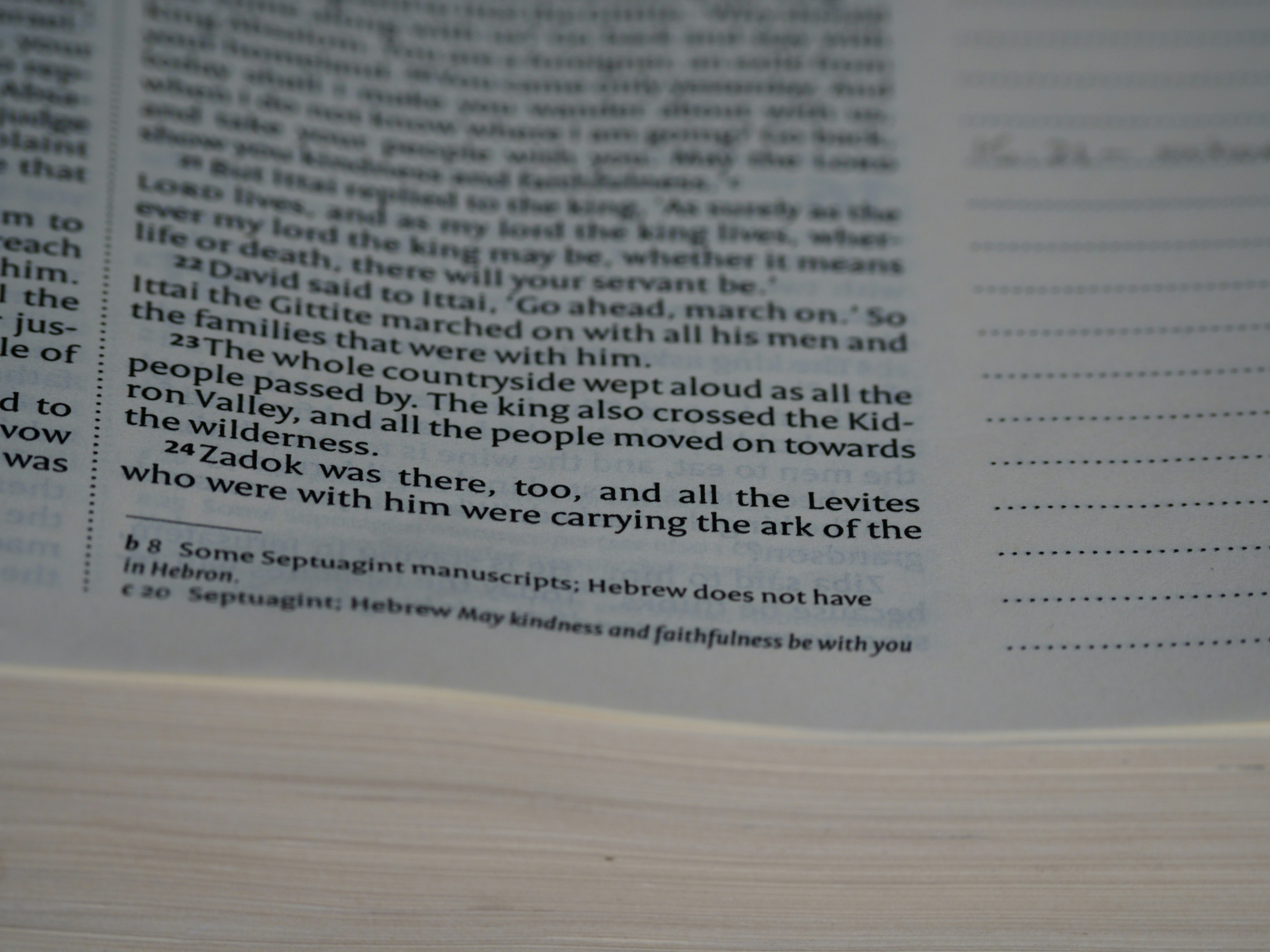 Photo by brett_jordan