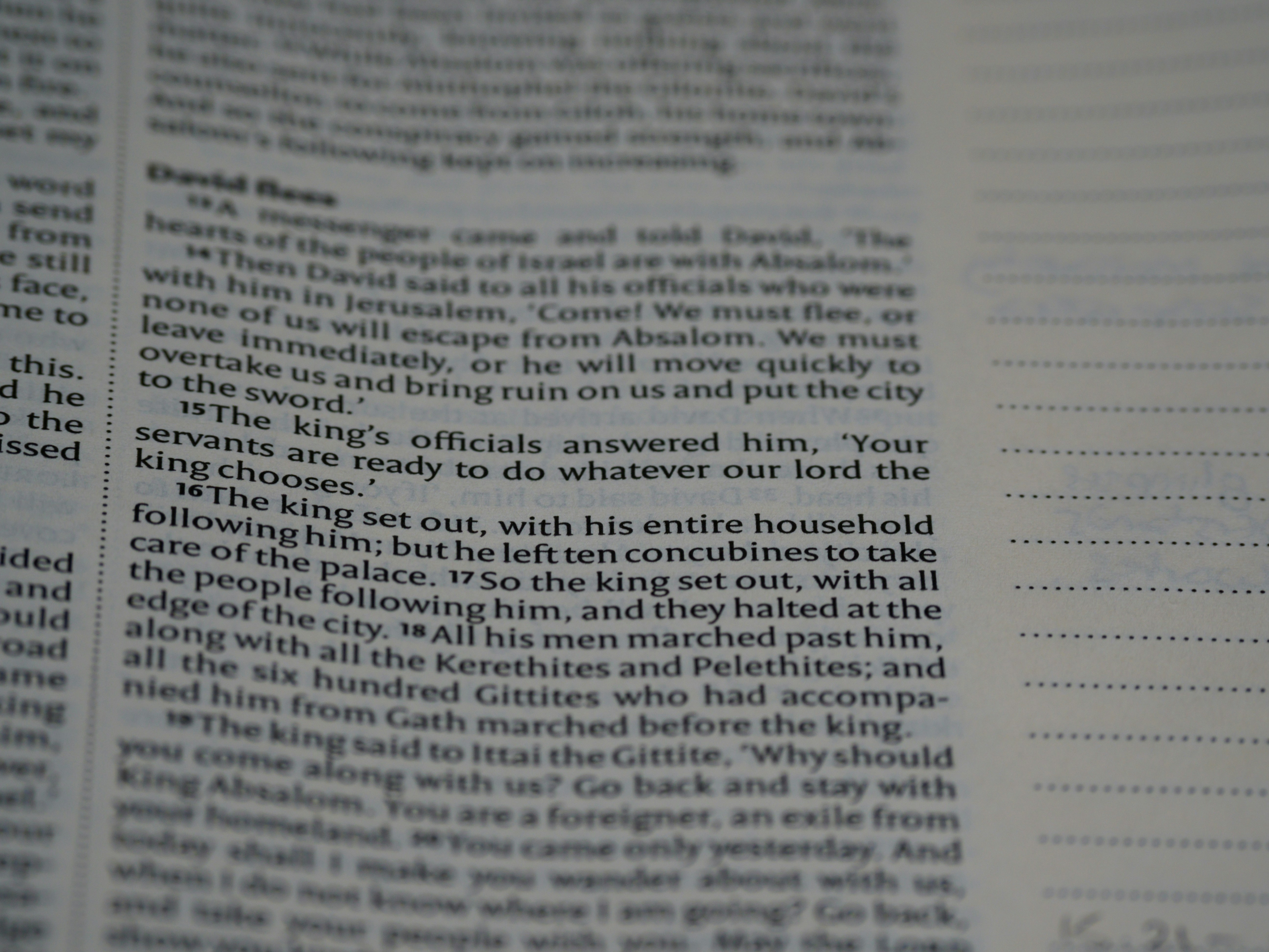 Photo by brett_jordan