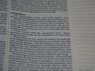 Fragmentos de vida: La mirada de Lola Lake Noyora