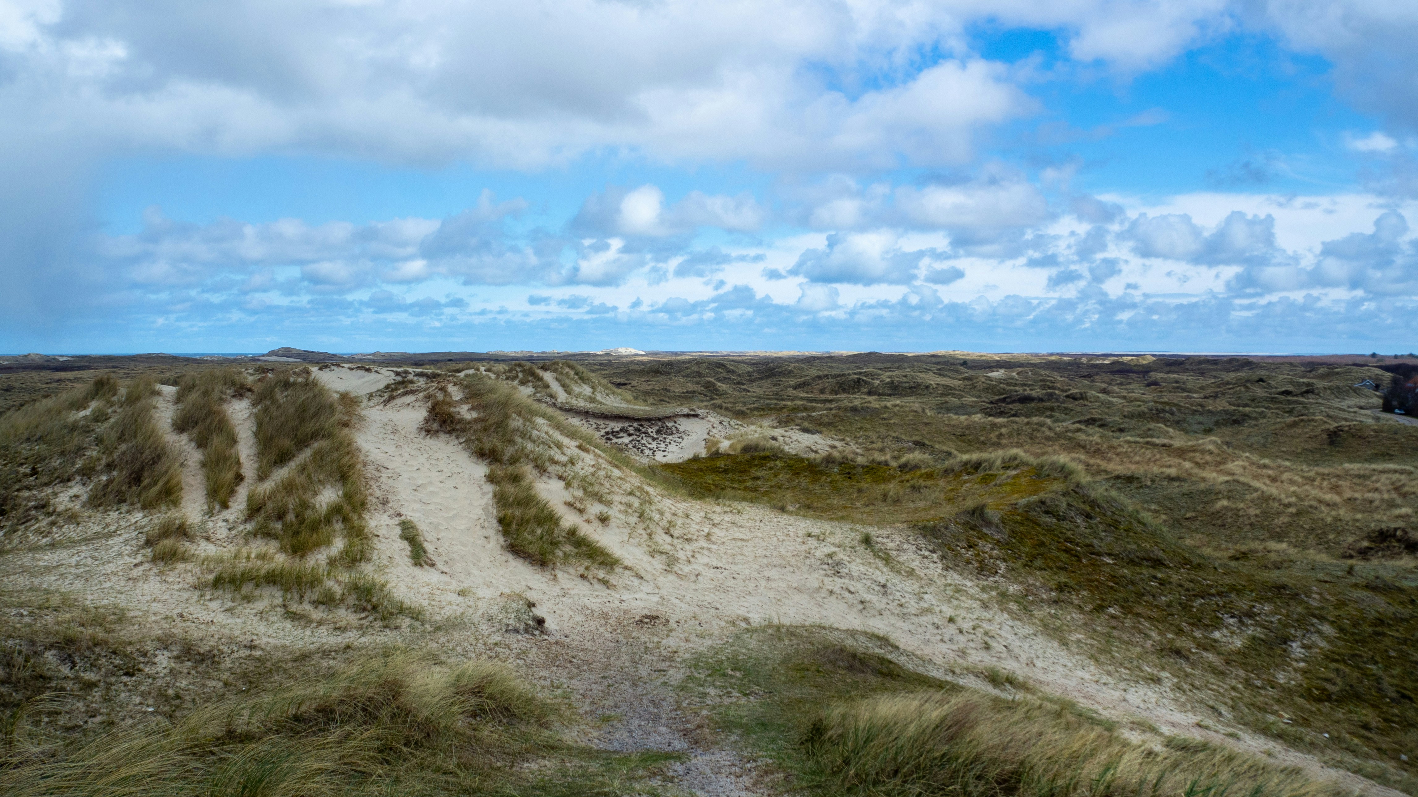 Photo by wimvanteinde