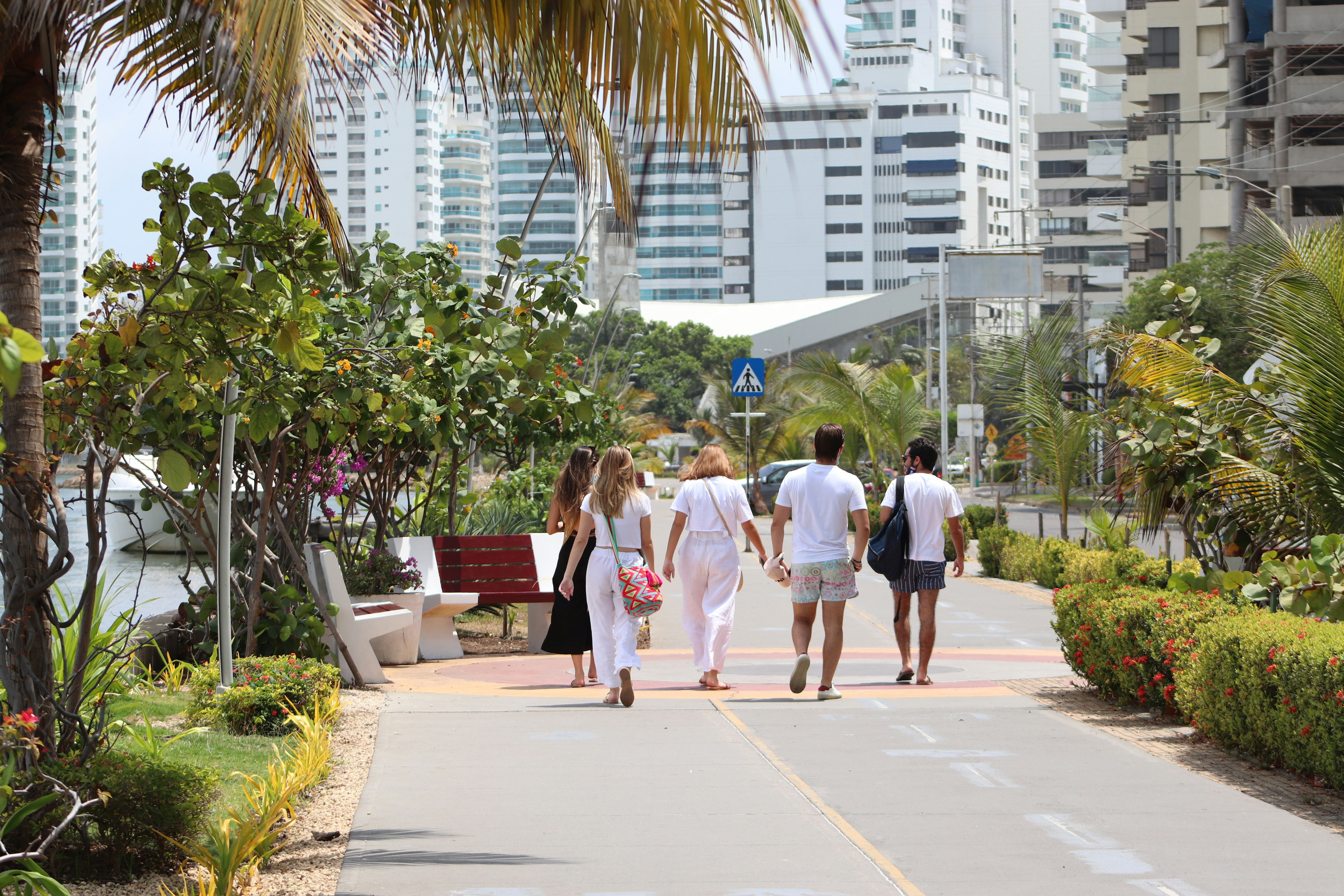 people walking on the street during daytime