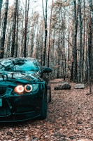 black bmw m 3 parked in the woods