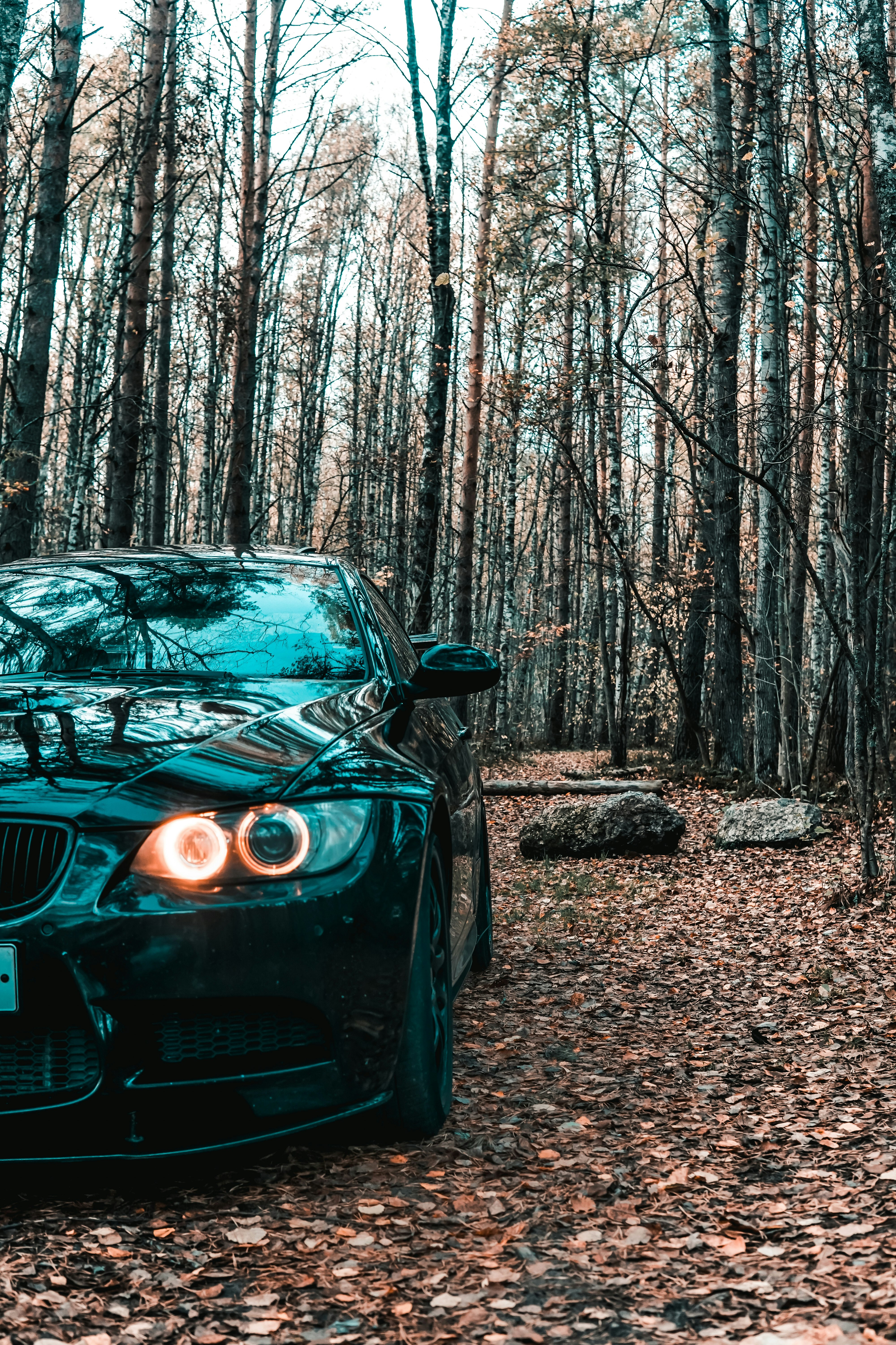 black bmw m 3 parked in the woods