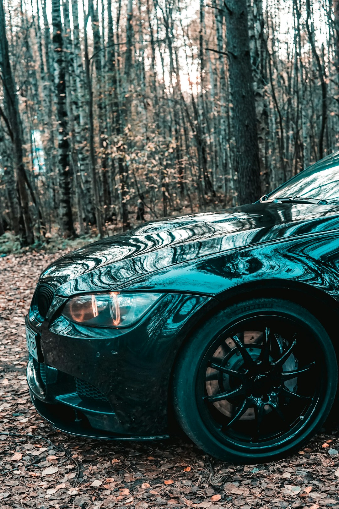 black car in the woods